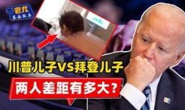 拜登儿子酒店爆料视频,揭秘奢华生活与权势交易